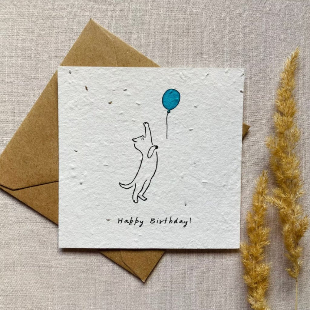 Einpflanzbare Geburtstagskarte 'Katze' - mimiundmax.at